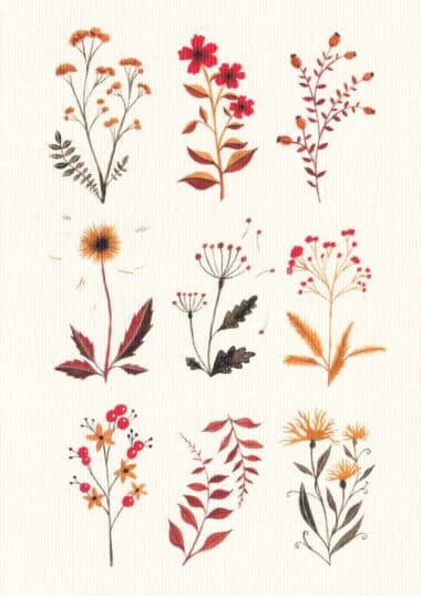 Fall Florals Postcard