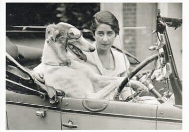 Driving Dog Funny Black & White Vintage Photography Postcard