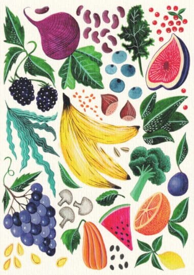 Fruits & Vegetables Garden Postcard