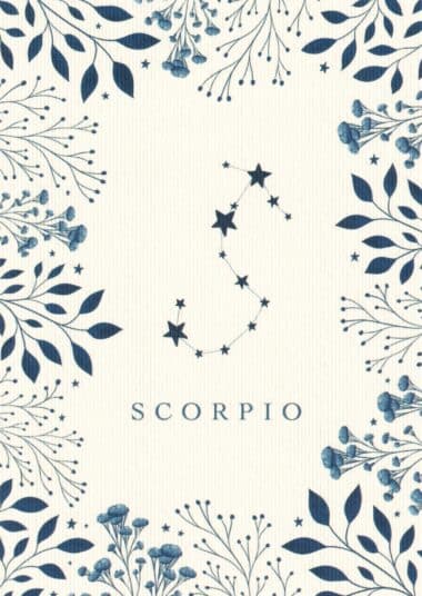 Scorpio Astrological Sign Constellation Postcard