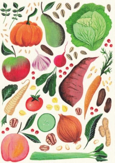 Harvest Garden Postcard