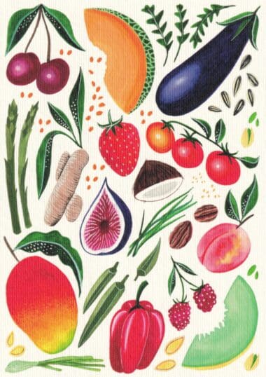 Fresh Produce Garden Postcard