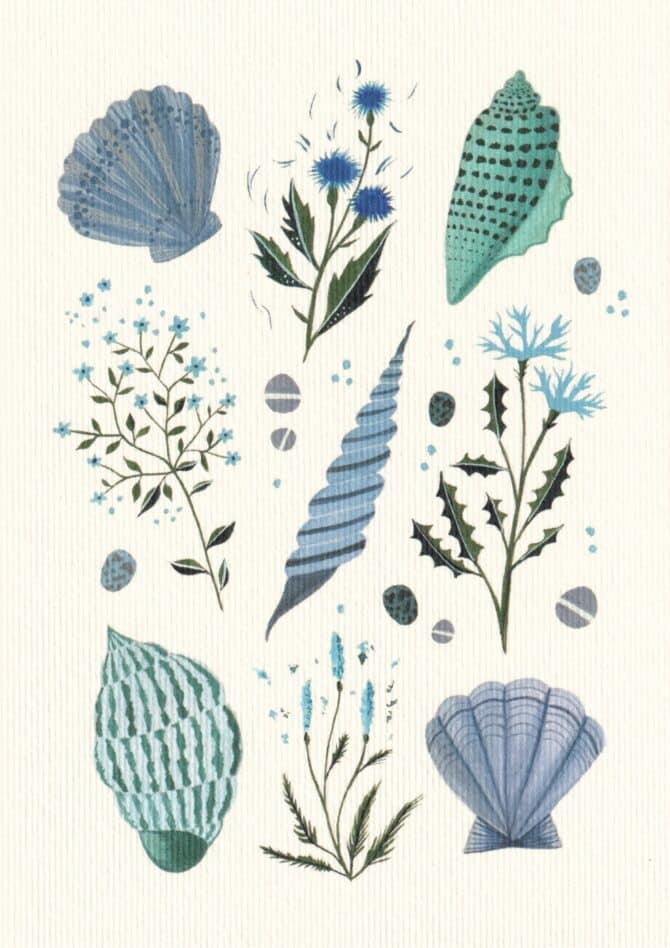 Blue Seashells Postcard