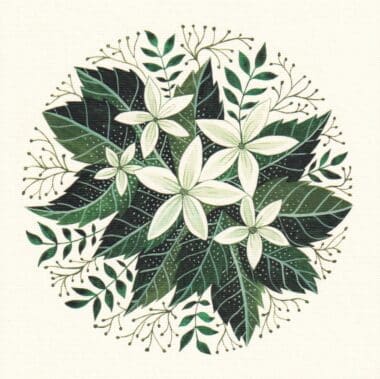 Jasmine Square Floral Postcard