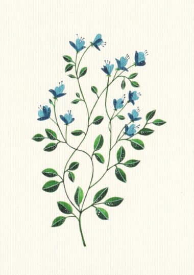 Blue Flowers Postcard