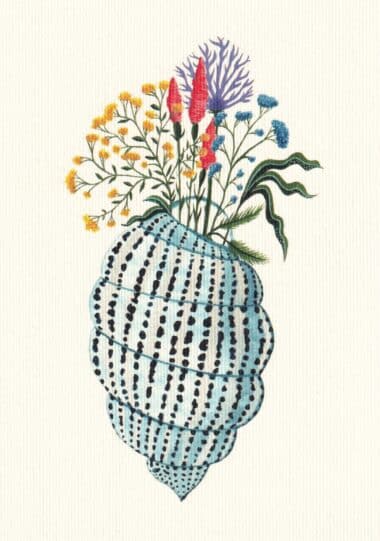 Seashell Bouquet Postcard